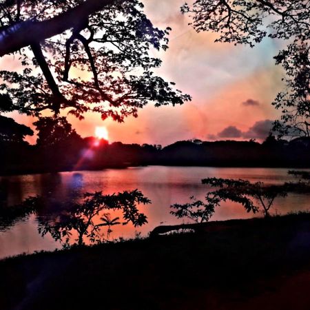 Lake View Dambulla Exterior foto