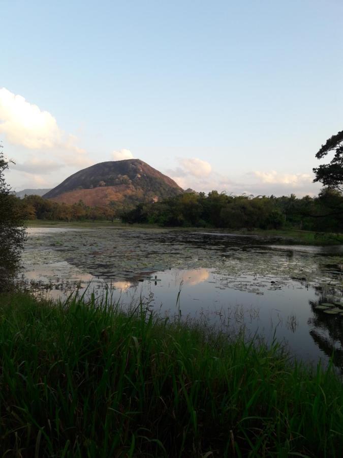 Lake View Dambulla Exterior foto